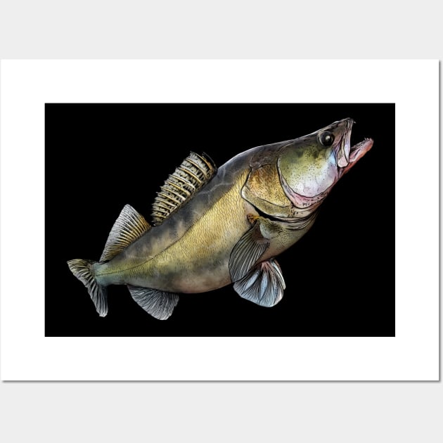 Walleye Wall Art by Sandarmi